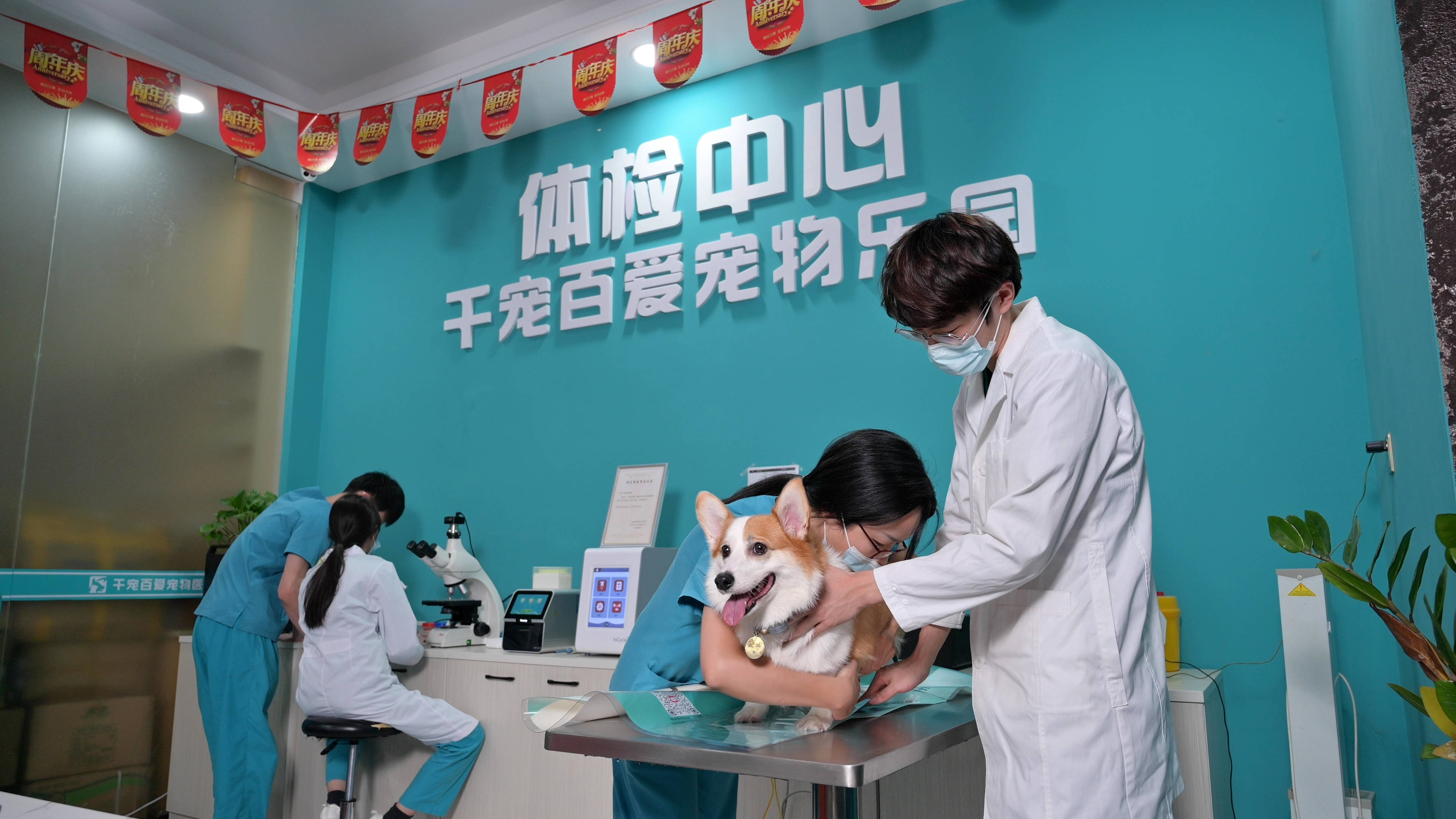 福州千宠百爱宠物医院:我们为呵护宠物健康的这二年_服务