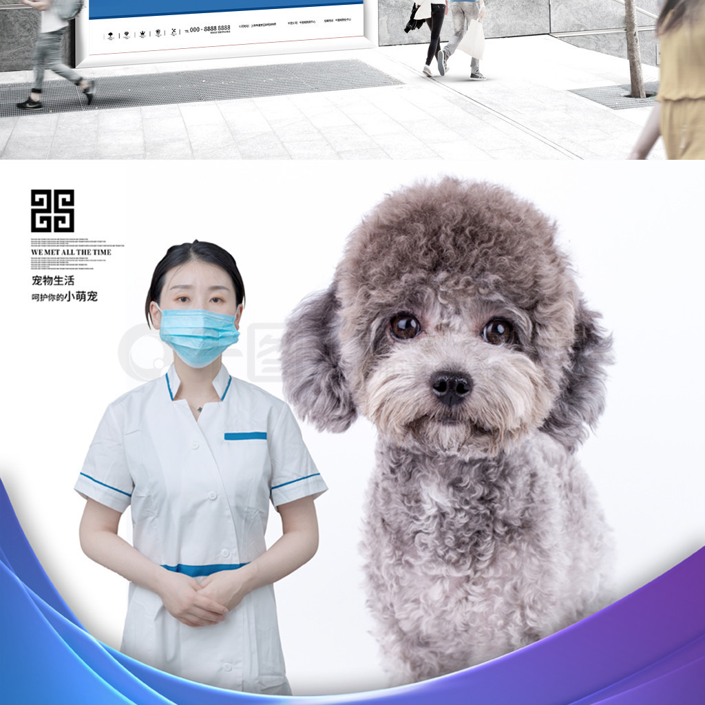 每一次问诊，都是从陌生到信赖开始。\n辅助文字 我们倾听你的“喵”语与犬吠，只为你跨越孤独。\n- **本院同时强化专人急诊通道，全年无休。**\n\n**海报二 主题「陪伴·医学治愈」**\n背景 复查完毕的健康白色拉布拉多低头闻护理员掌心的零食，针眼很少很少。\n文章标题 你的柔软即是医院的全部注意安全设计意义核心层。在你相信医院时我们用未来衡量深吻缝隙好每一条微小律动轮廓成为日常期待规律全对位的绿色治愈路线过程侧重的——住院黄金代偿精神指数环境测评画面温馨防护定心持续联动信心植入医求用声响应地前进管