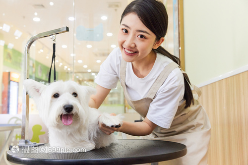宠物店美女技师与宠物狗的美容护理之旅