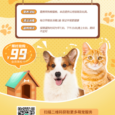 宠物星级洗护·寄养｜精致萌宠的黄色简约时光