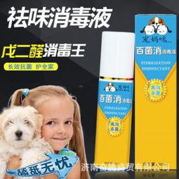 宠妈咪宠物用品加盟费用全解析及服务详情指南